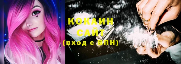 стаф Абаза