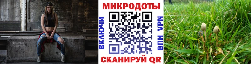 Галлюциногенные грибы Magic Shrooms  Камышлов 